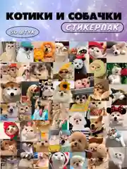 Бронзовый наклейки-стикеры котики мемы, 50 штук. Стикерпак с котиками и собачками, скрапбукинг. Таро