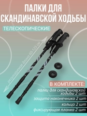 Палки для скандинавской ходьбы телескопические всесезонные 2шт
