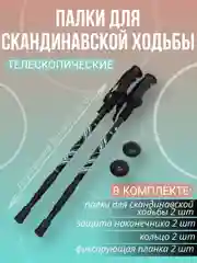 Палки для скандинавской ходьбы телескопические всесезонные 2шт