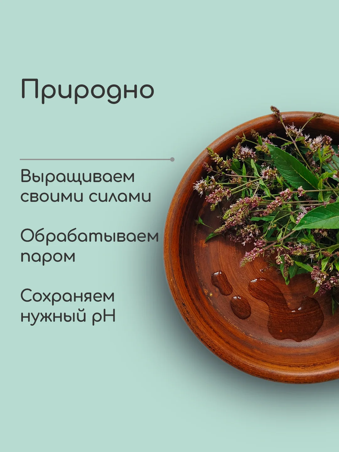 Гидролат Мята перечная, тоник для жирной и проблемной кожи, craftzabota 100 мл