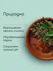 Гидролат Мята перечная, тоник для жирной и проблемной кожи, craftzabota 100 мл