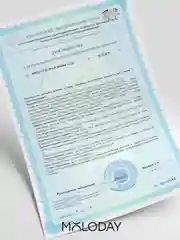 БАД к пище MOLODAY Ноотроп "Brain Health", 90 капсул