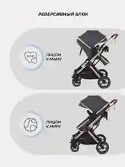 Серый коляска детская RANT basic PULSAR GOLD 2в1