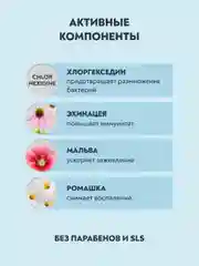 Зубная паста PRESIDENT Antibacterial, 75 RDA, защита от бактерий, 75 г