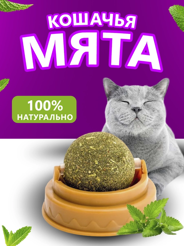 Кошачья мята в виде шарика для кошек