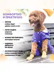 Желтый обувь для собак