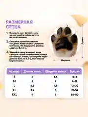 Желтый обувь для собак