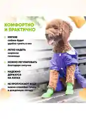 Зеленый обувь для собак