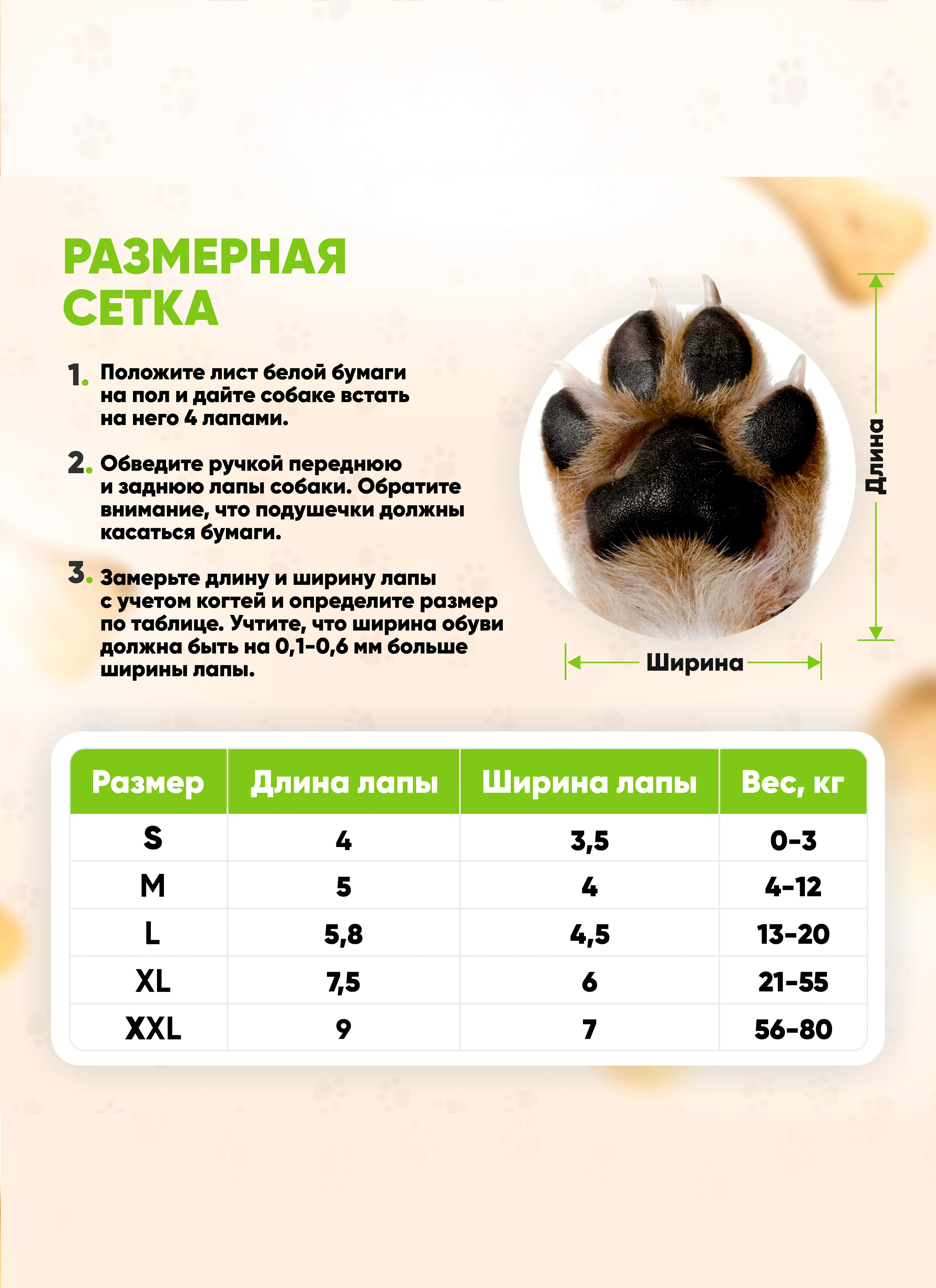 Зеленый обувь для собак