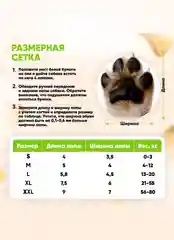 Зеленый обувь для собак