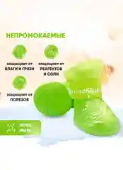 Зеленый обувь для собак