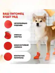 Красный обувь для собак