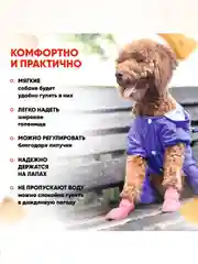 Красный обувь для собак