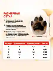 Красный обувь для собак