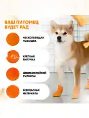Оранжевый обувь для собак