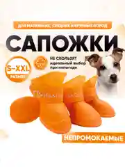 Оранжевый обувь для собак