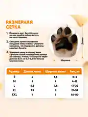Оранжевый обувь для собак