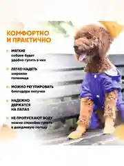 Оранжевый обувь для собак
