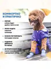 Синий обувь для собак
