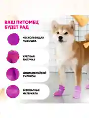 Фуксия обувь для собак