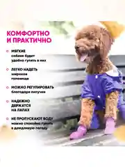 Фуксия обувь для собак