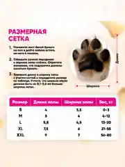Фуксия обувь для собак