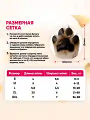 Черный обувь для собак