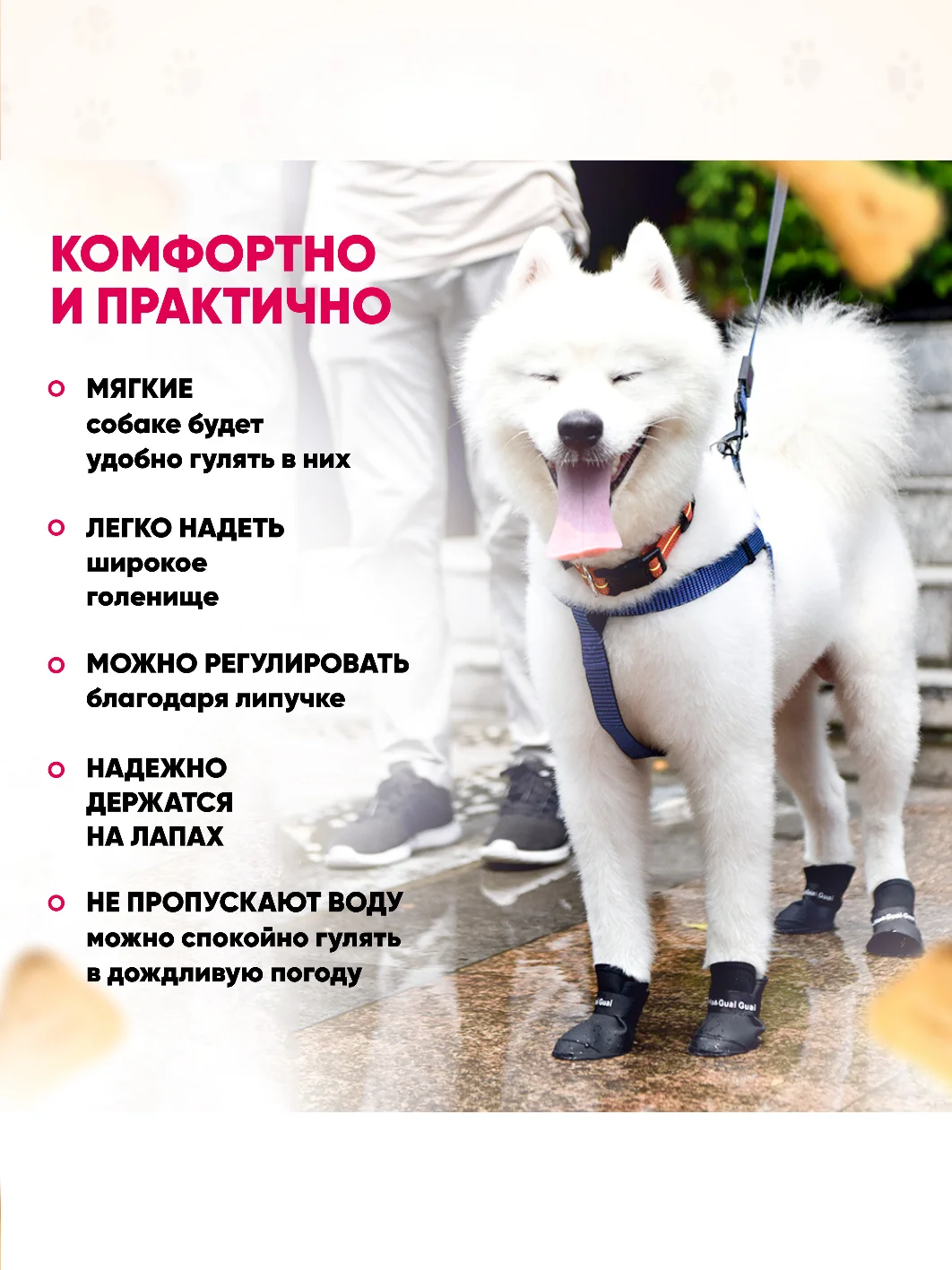 Черный обувь для собак