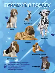 Дождевик для собак Доброзверики, №6, утепленный, голубой