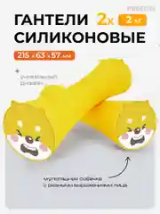 Гантели 2 кг, PROIRON, силиконовые, 2 штуки