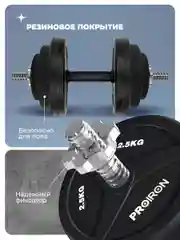 Гантели разборные, PROIRON, обрезиненные, 2 шт по 10 кг, черный
