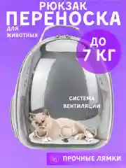 Черный рюкзак переноска для кошек и собак
