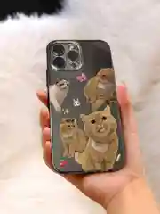 Рыжий чехол для iPhone 11 12 13 14 15 Pro Max 7 8 XR X XS Plus с принтом айфон прозрачный коты