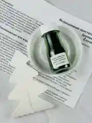 Набор для выращивания кристаллов Химические опыты деревья Зеленая елочка ёлка Лори Lori