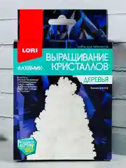 Выращивание кристаллов для детей коралл белая новогодняя елочка химические опыты новый год