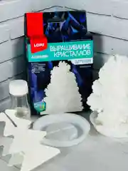 Выращивание кристаллов для детей коралл белая новогодняя елочка химические опыты новый год