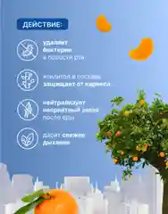 Спрей для полости рта PRESIDENT Мандарин, без спирта, 20 мл