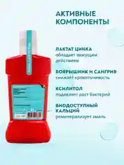 Ополаскиватель для полости рта PRESIDENT PROFI Active, 250 мл