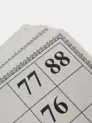 Родное лото классическое с деревянными бочонками, ЗОЛОТАЯ СКАЗКА, 664672