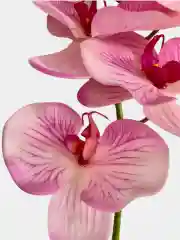 Искусственные цветы "Ветка Орхидеи"