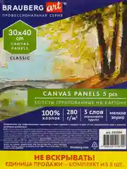 Холст на картоне набор 5 штук 30х40 см, 280 г м2, грунт, 100% хлопок, Brauberg Art Classic