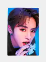 Голубой набор K-POP Blackpink, Stray Kids стикерпак 50 шт блакпинк, страй кидз, наклейки стикеры