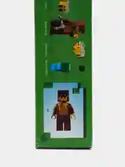 Конструктор LEGO Minecraft 21241 Пчелиный коттедж