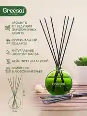 Ароматизатор для дома, диффузор ароматический, 2 шт