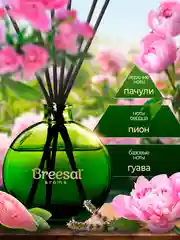 Ароматизатор для дома, диффузор ароматический, 2 шт