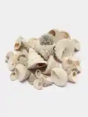 Приглушённый хаки ракушки натуральные морские и океанические, грунт, наполнитель, декор для аквариума