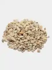 Хаки ракушки натуральные морские и океанические, грунт, наполнитель, декор для аквариума