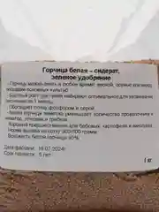 Горчица семена сидерат