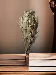 Эвкалиптовый веник банный