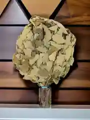 Дубовый веник банный